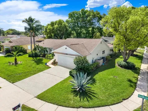 9806 Didrikson Drive New Port Richey FL 34655