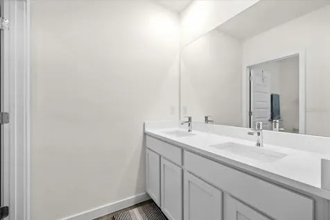 31891 Oyster Trellis Lane Wesley Chapel FL 33545