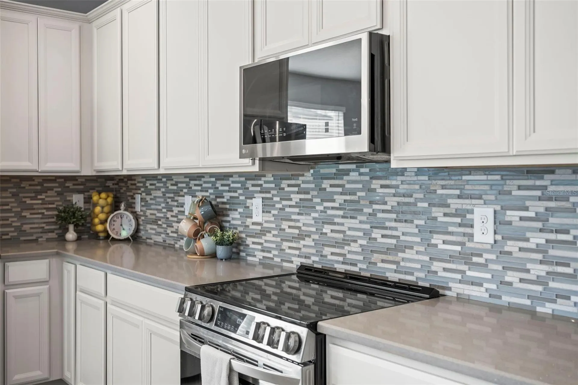 3261 Bethpage Loop Mount Dora FL 32757