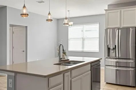 3261 Bethpage Loop Mount Dora FL 32757