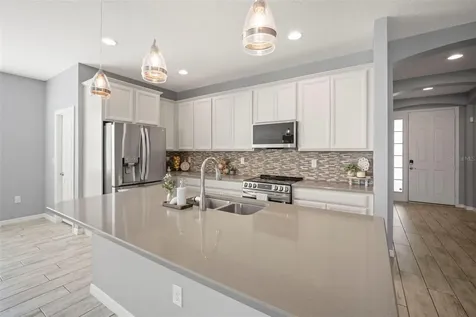 3261 Bethpage Loop Mount Dora FL 32757