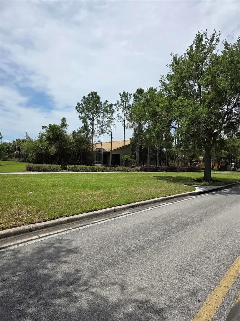 2310 Palm Tree Drive Kissimmee FL 34759