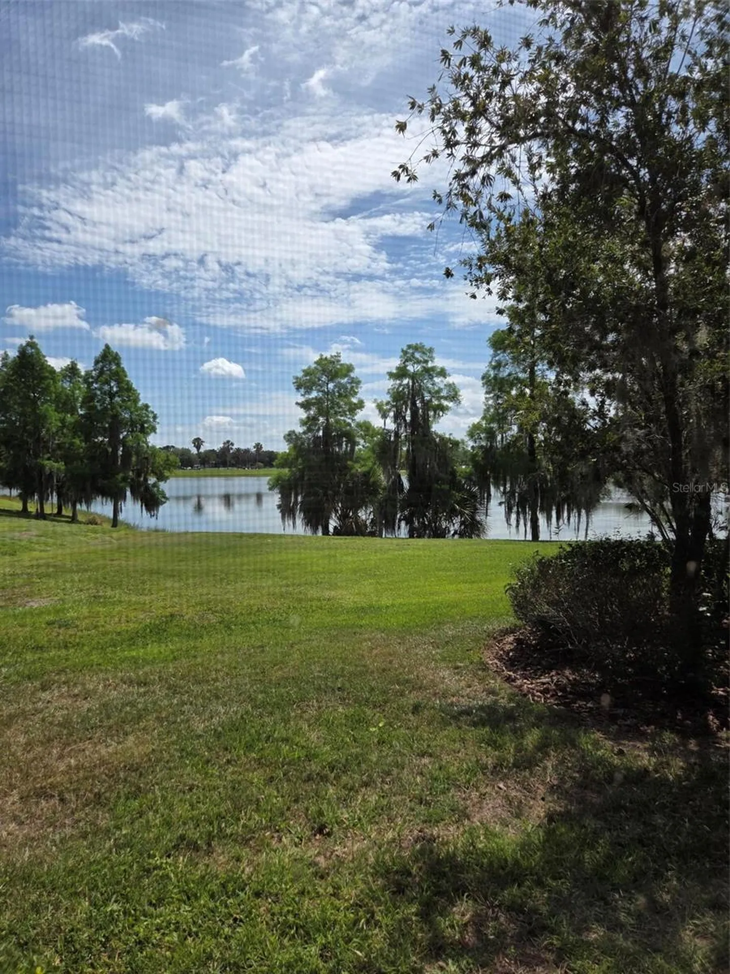 2310 Palm Tree Drive Kissimmee FL 34759