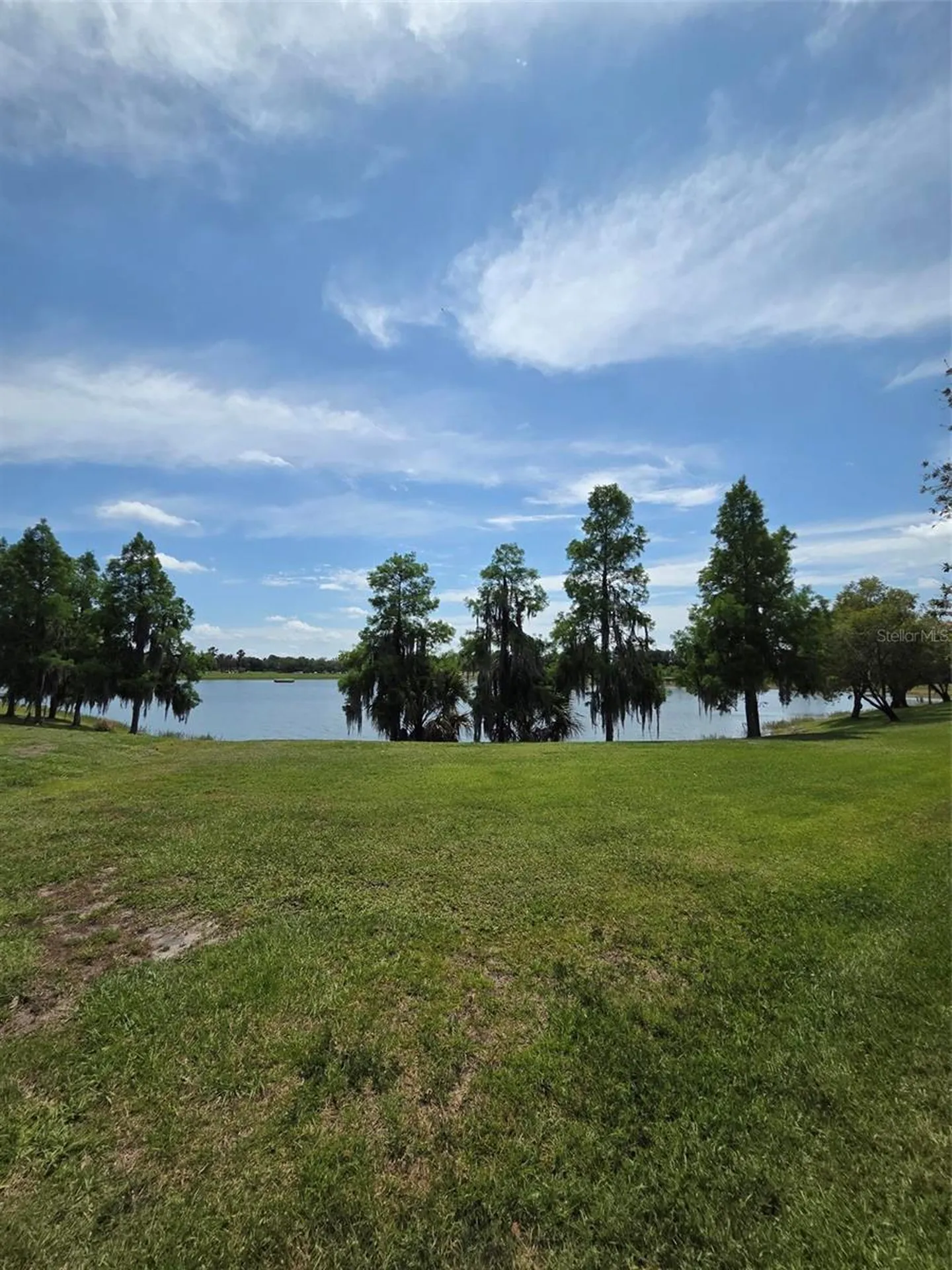 2310 Palm Tree Drive Kissimmee FL 34759