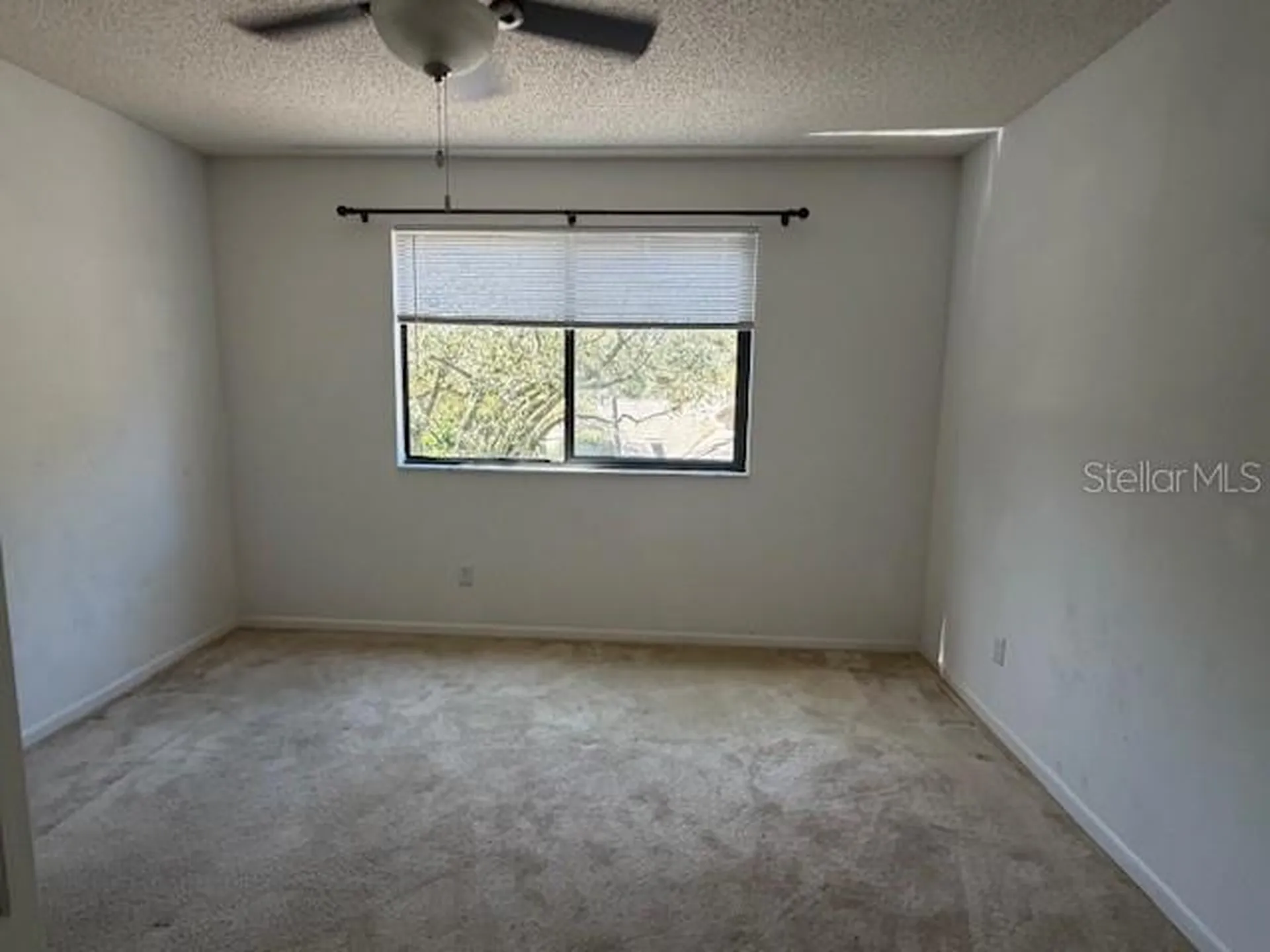 1913 Whispering Way Tarpon Springs FL 34689