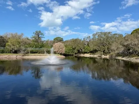 1913 Whispering Way Tarpon Springs FL 34689