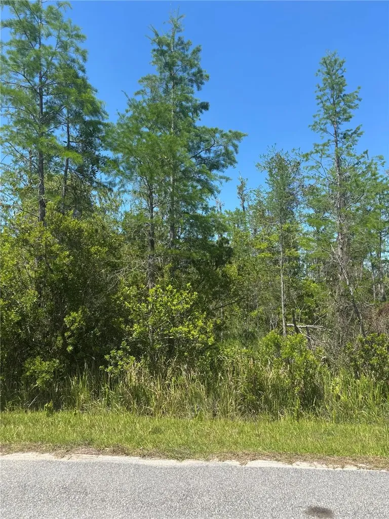 Atlas Drive St Cloud FL 34773