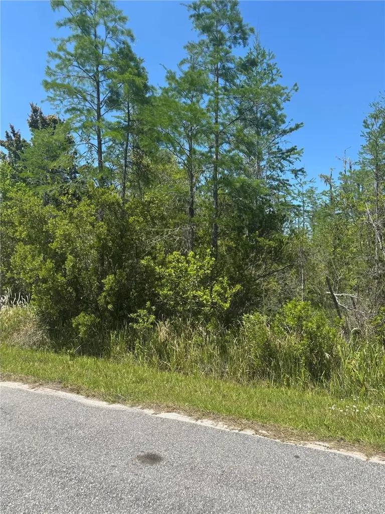 Atlas Drive St Cloud FL 34773