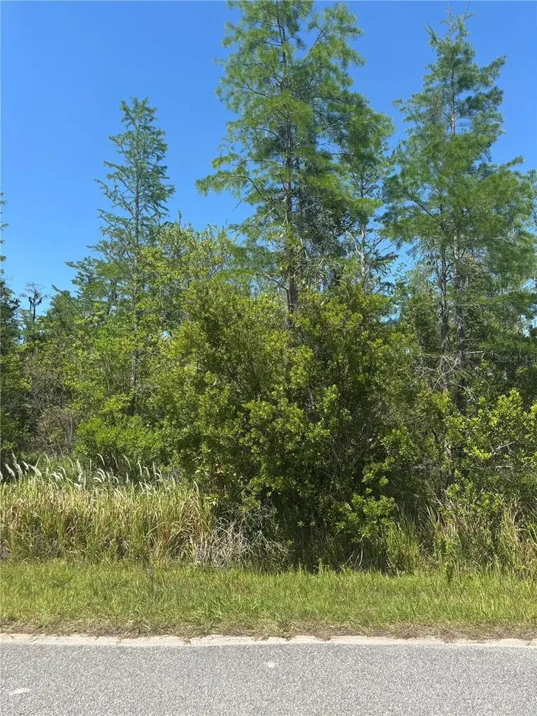 Atlas Drive St Cloud FL 34773