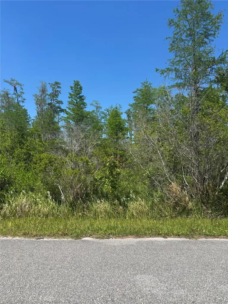 Atlas Drive St Cloud FL 34773