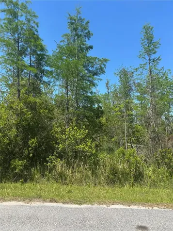 Atlas Drive St Cloud FL 34773
