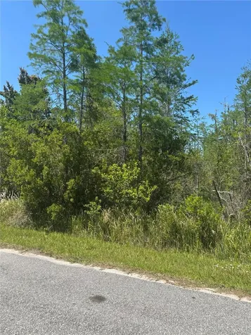 Atlas Drive St Cloud FL 34773