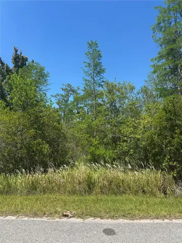 Atlas Drive St Cloud FL 34773