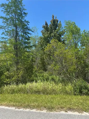 Atlas Drive St Cloud FL 34773