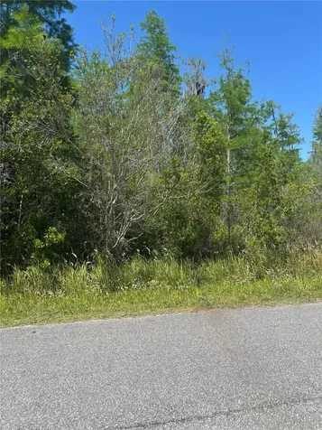 Atlas Drive St Cloud FL 34773