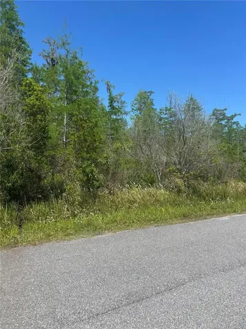 Atlas Drive St Cloud FL 34773