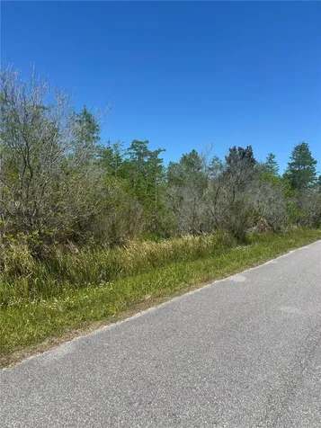 Atlas Drive St Cloud FL 34773