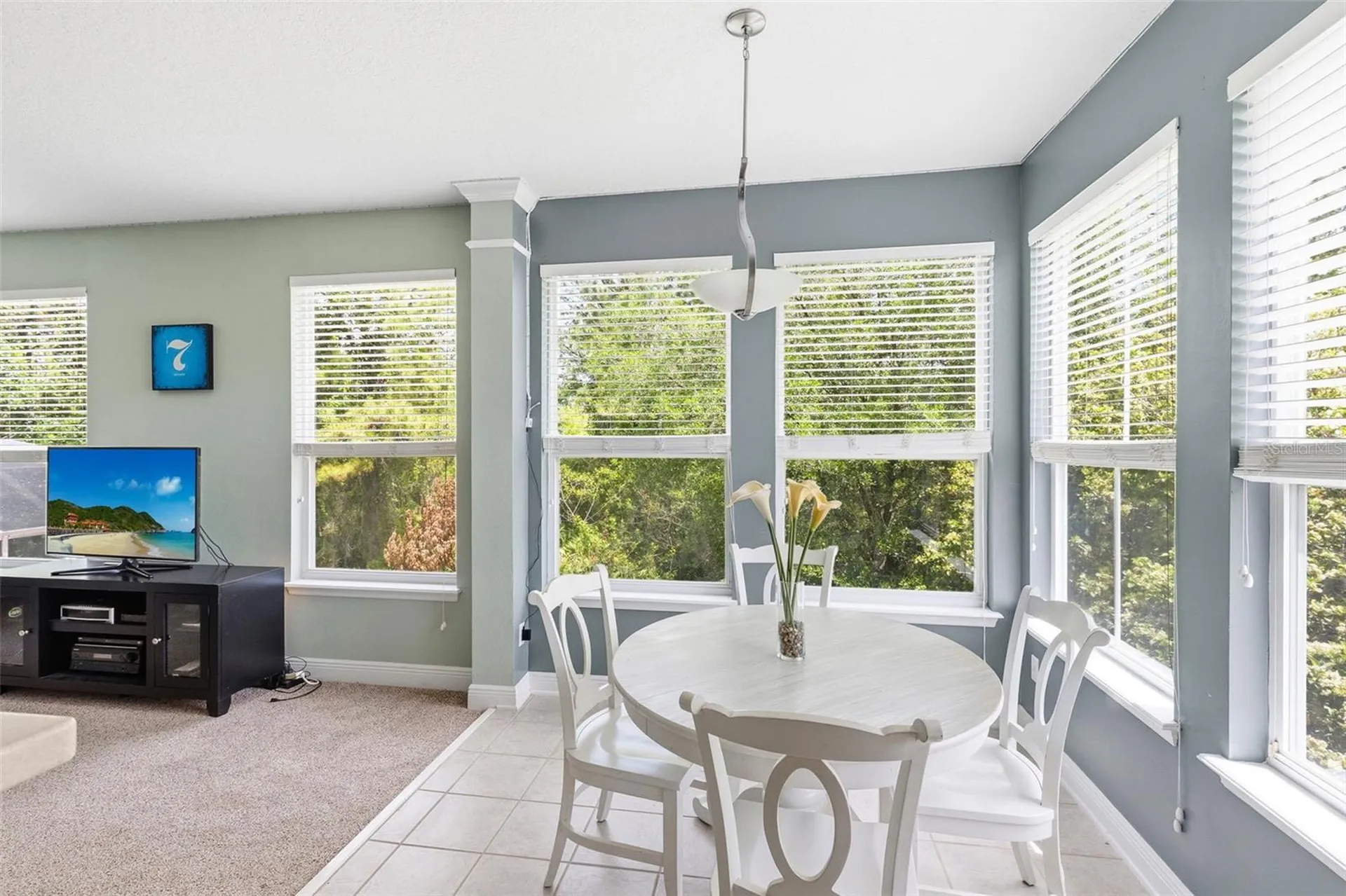 13225 Sharswood Circle Orlando FL 32828