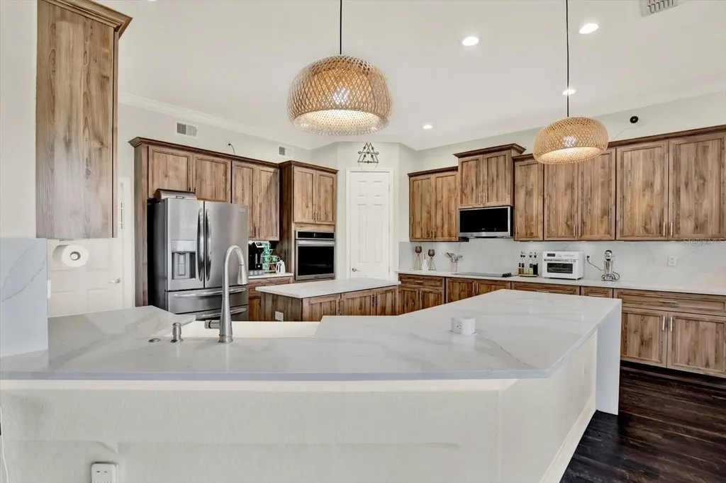 21610 Draycott Way Land O Lakes FL 34637