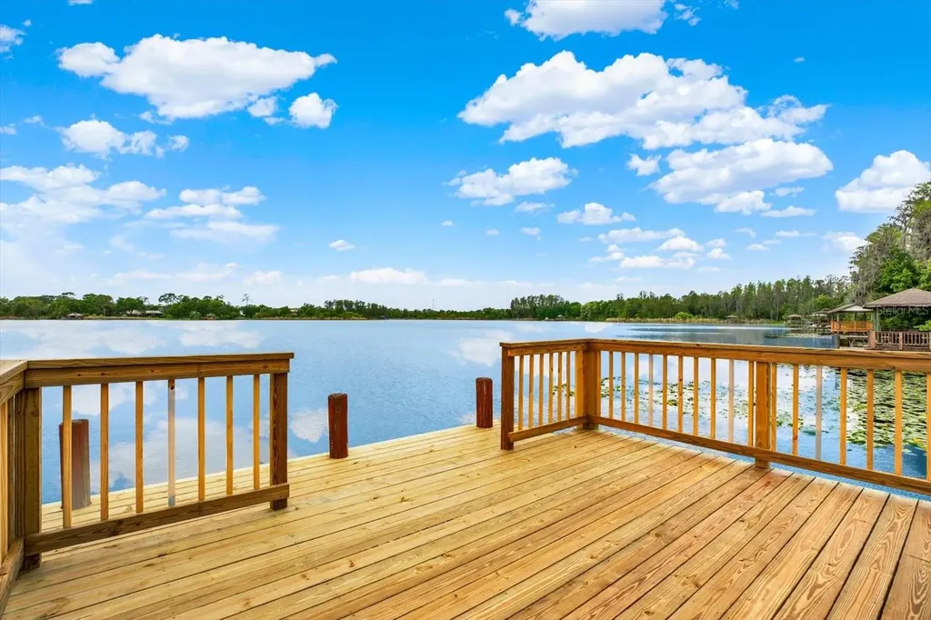 21610 Draycott Way Land O Lakes FL 34637