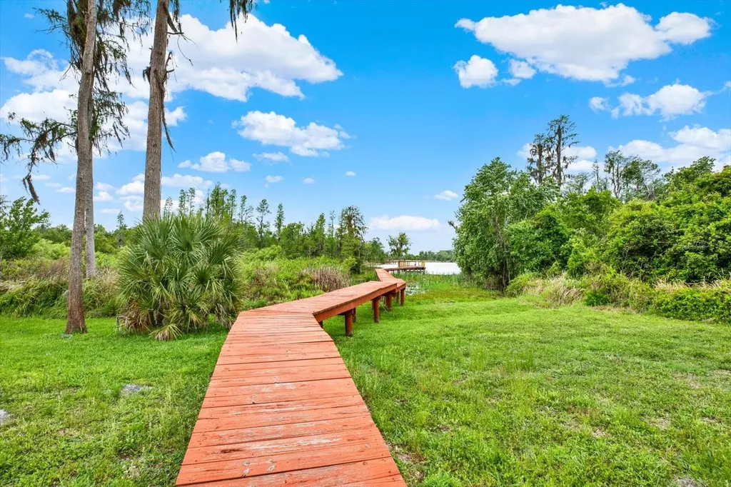 21610 Draycott Way Land O Lakes FL 34637