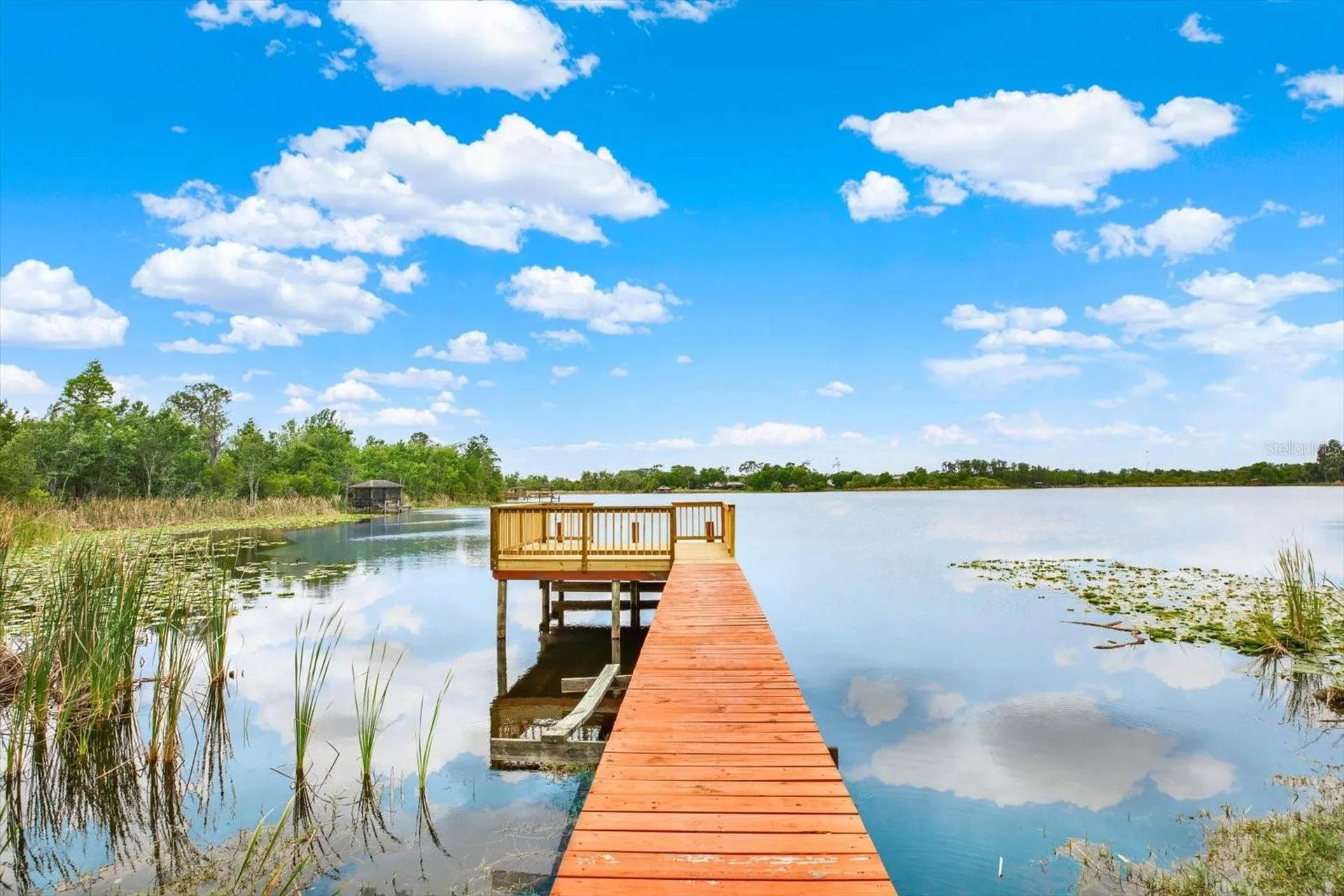 21610 Draycott Way Land O Lakes FL 34637