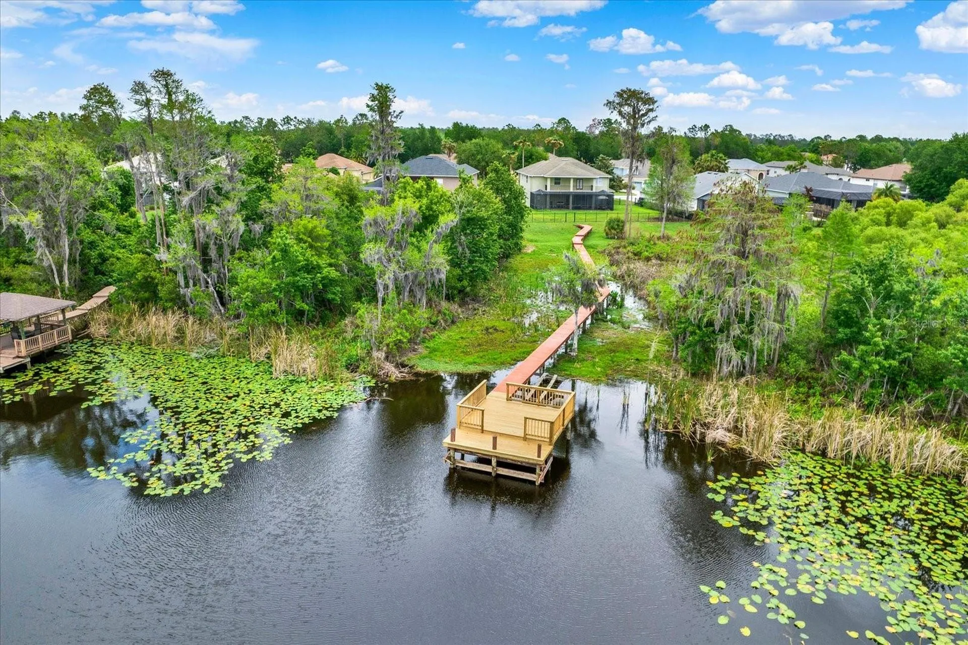 21610 Draycott Way Land O Lakes FL 34637