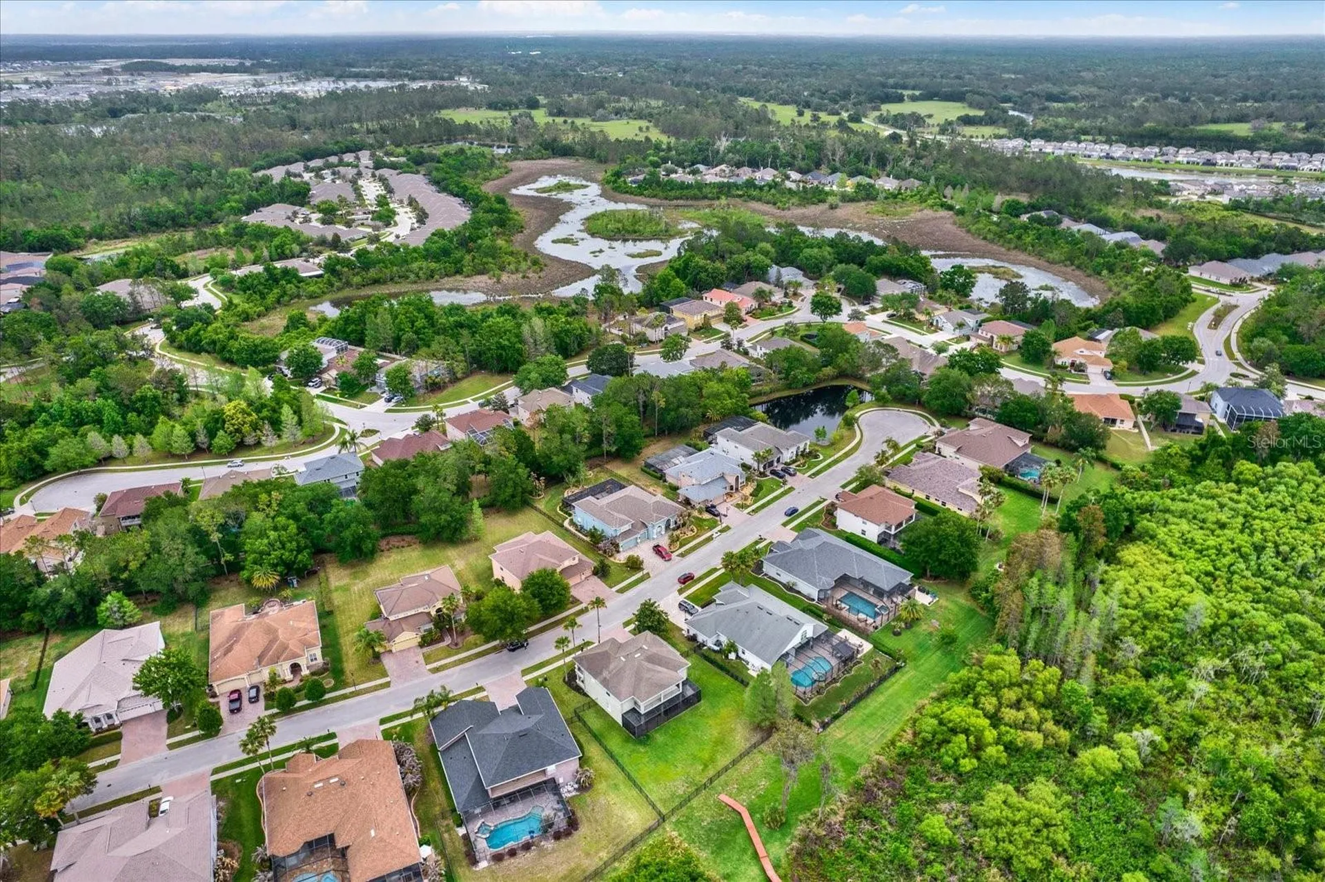 21610 Draycott Way Land O Lakes FL 34637