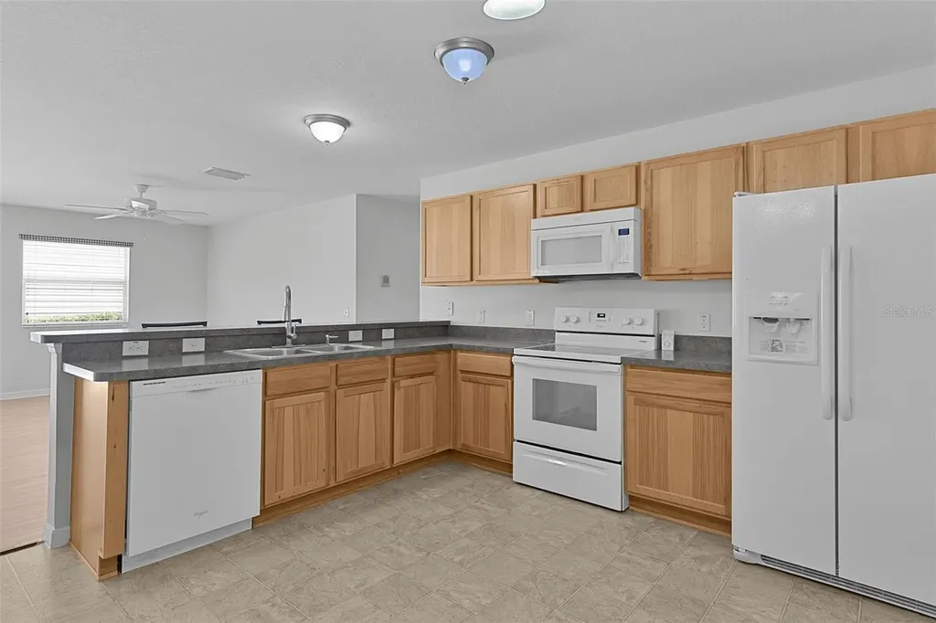 3401 Carrabelle Court The Villages FL 32163