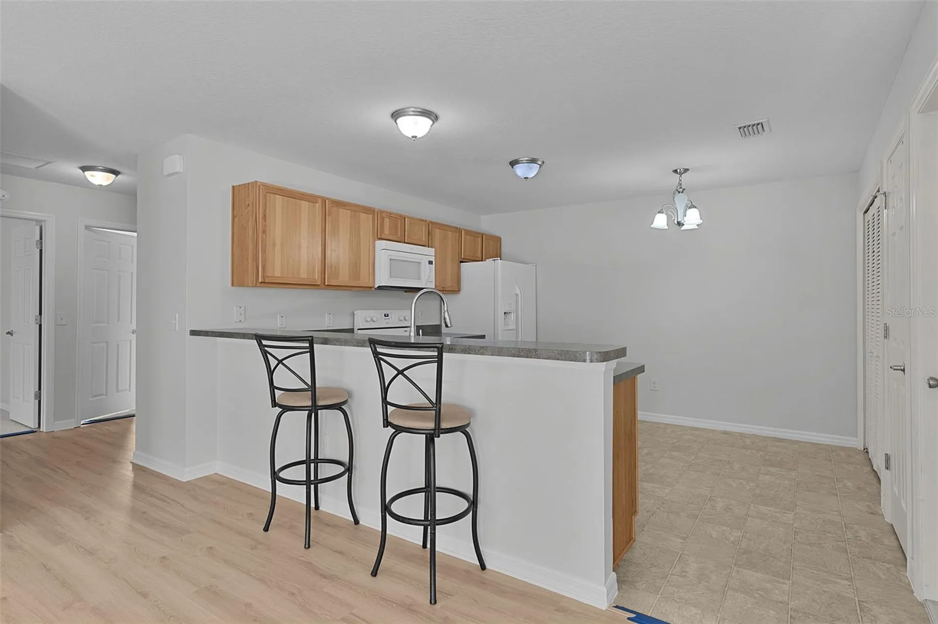 3401 Carrabelle Court The Villages FL 32163