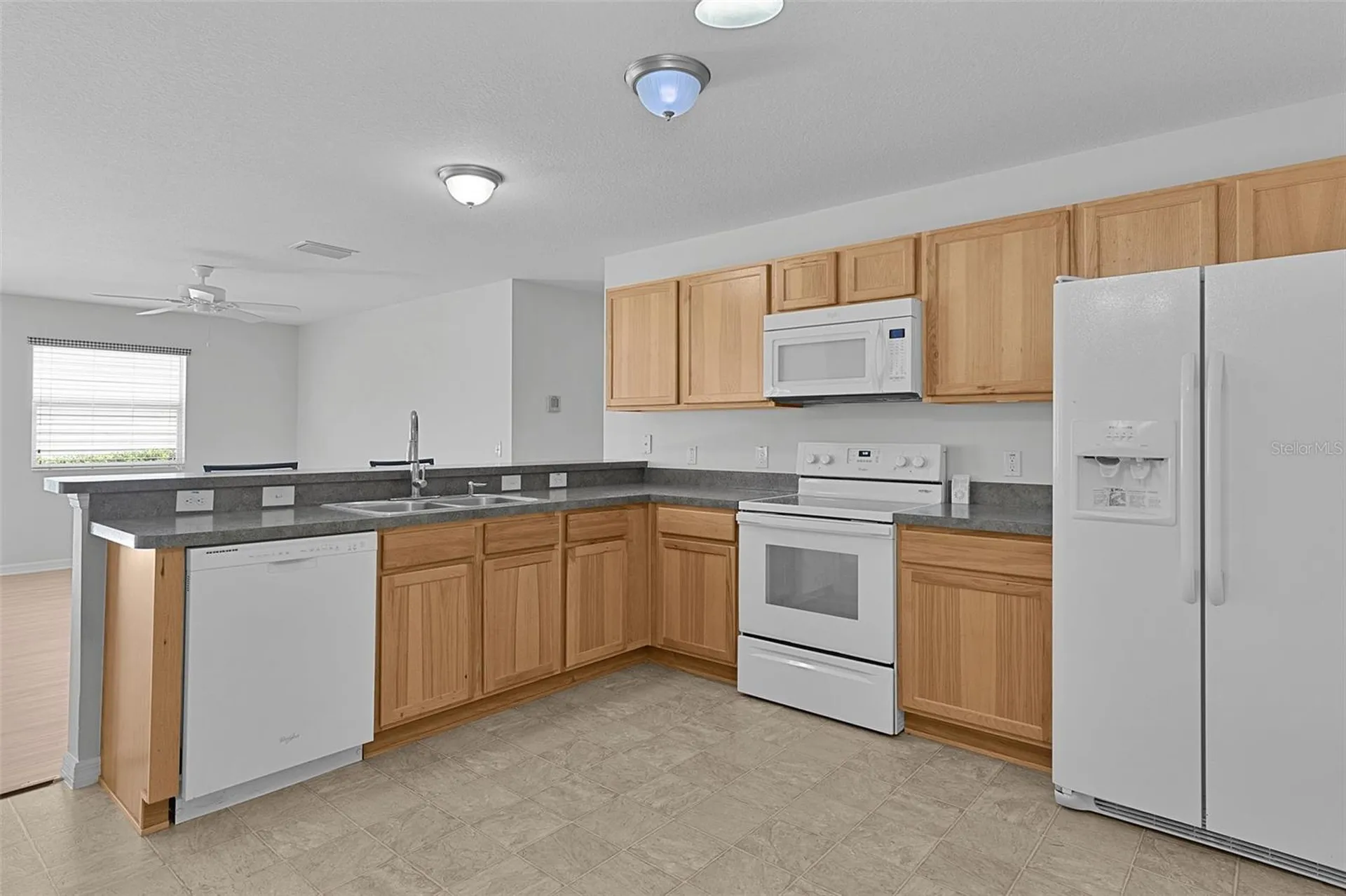 3401 Carrabelle Court The Villages FL 32163