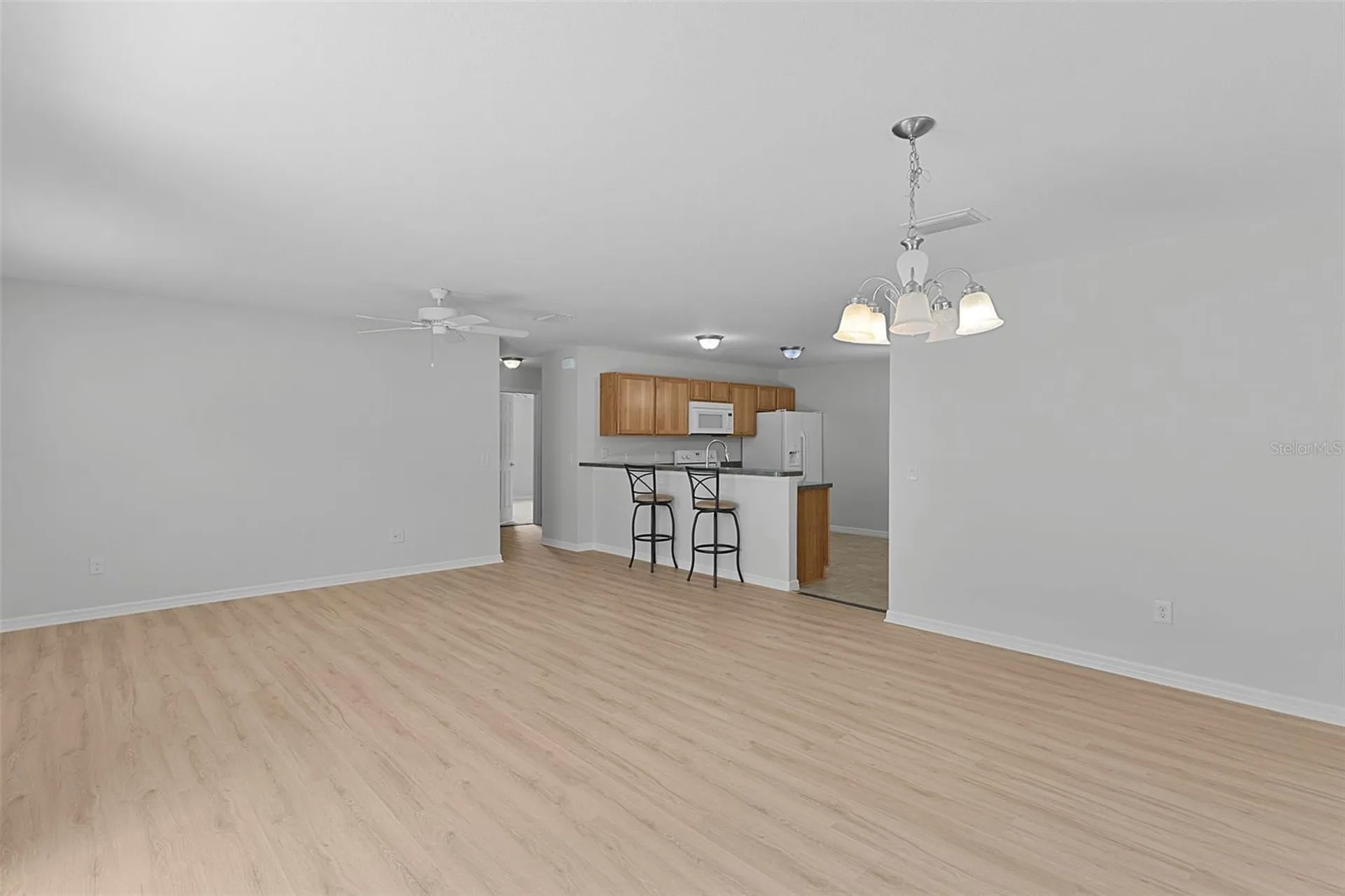 3401 Carrabelle Court The Villages FL 32163