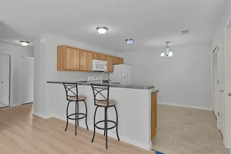 3401 Carrabelle Court The Villages FL 32163
