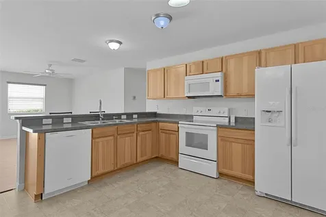 3401 Carrabelle Court The Villages FL 32163