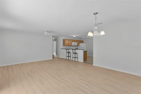 3401 Carrabelle Court The Villages FL 32163