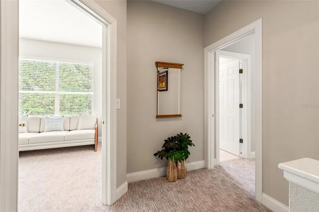 3519 Heards Ferry Drive Tampa FL 33618