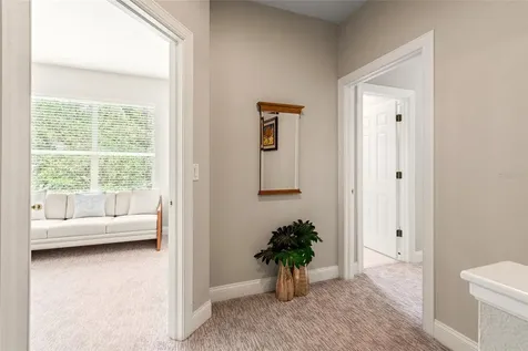 3519 Heards Ferry Drive Tampa FL 33618