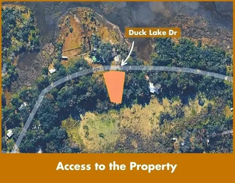 94469 Duck Lake Drive Fernandina Beach FL 32034