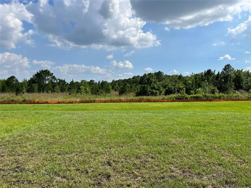 1487 Fox Squirrel Drive Davenport FL 33897