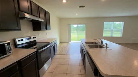 1487 Fox Squirrel Drive Davenport FL 33897