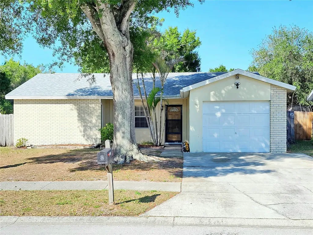 11511 Smokethorn Drive Riverview FL 33579