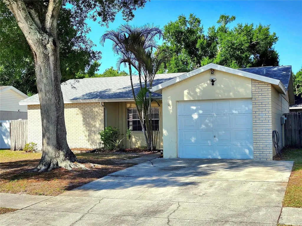 11511 Smokethorn Drive Riverview FL 33579