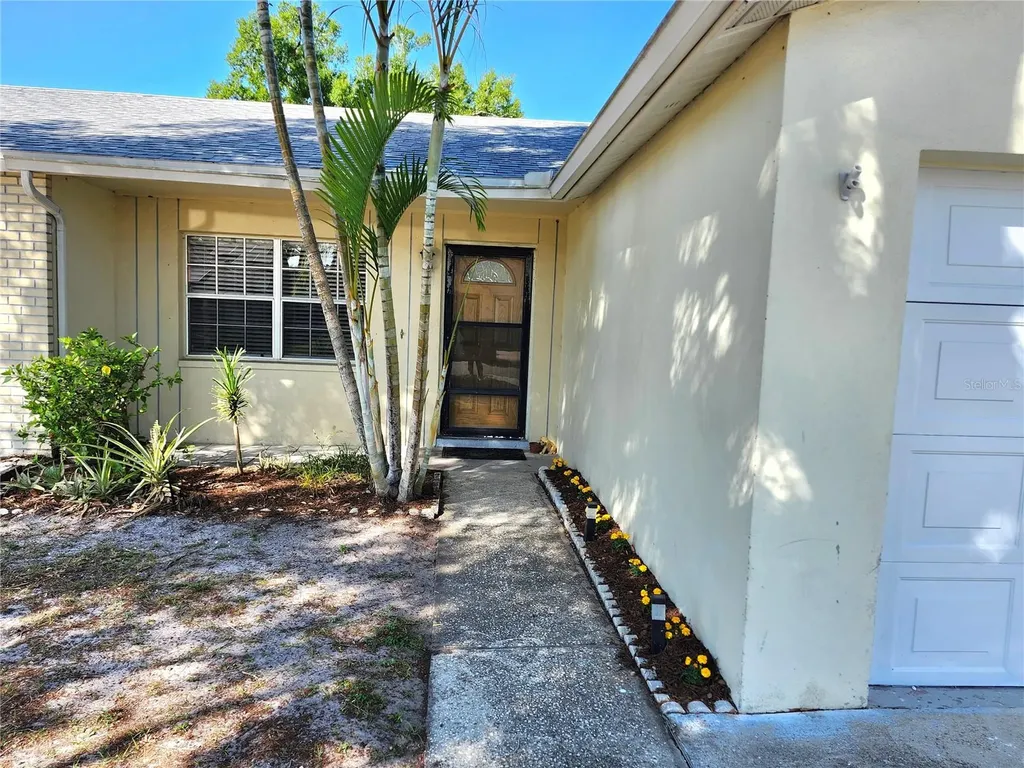 11511 Smokethorn Drive Riverview FL 33579