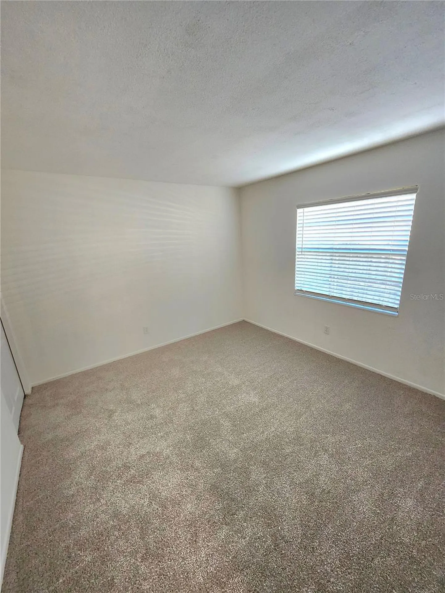 11511 Smokethorn Drive Riverview FL 33579