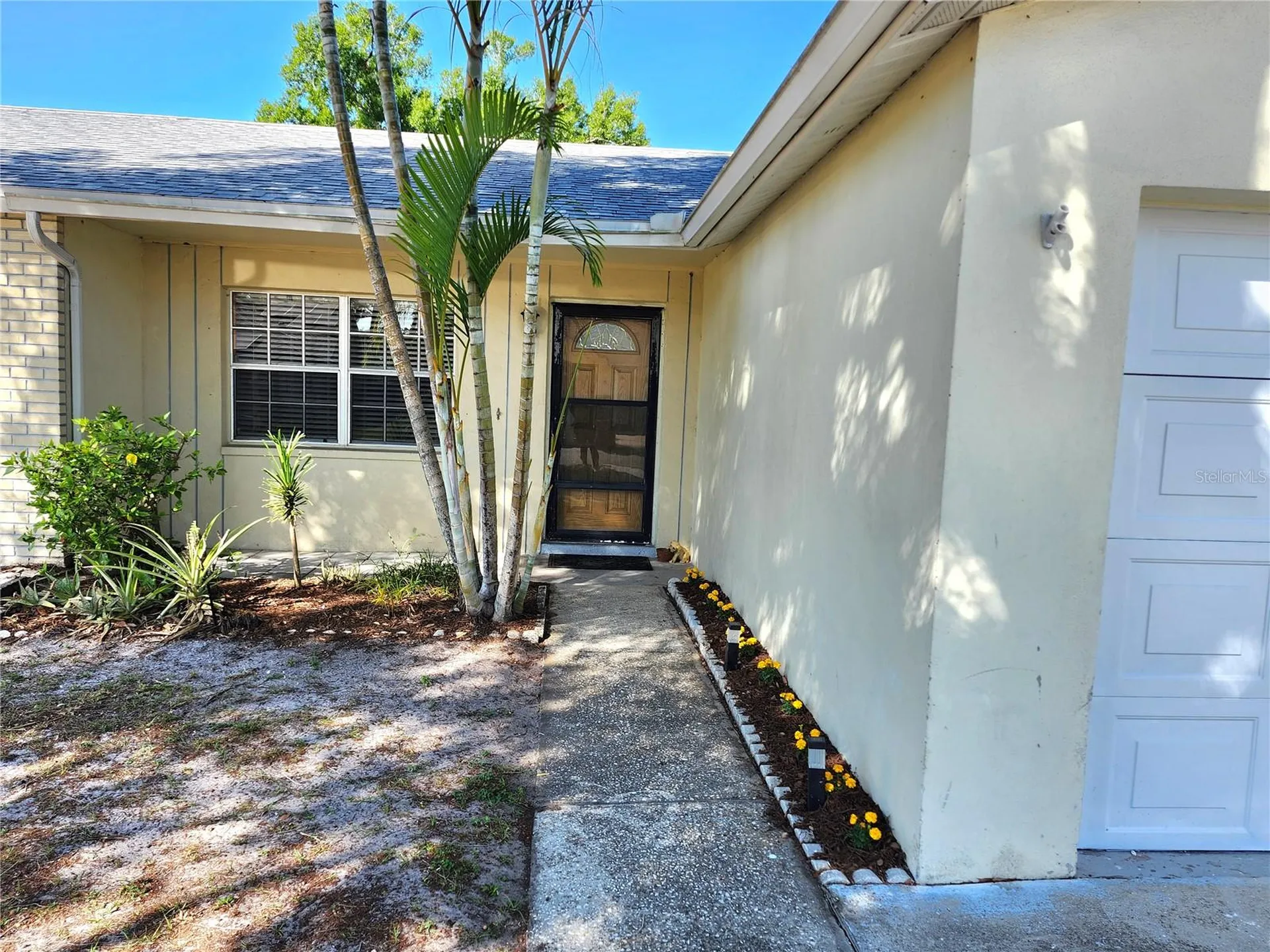 11511 Smokethorn Drive Riverview FL 33579