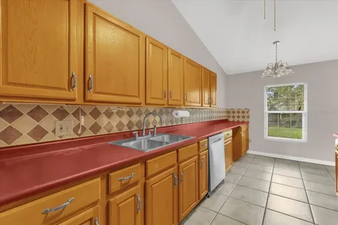 203 Larkspur Court Kissimmee FL 34743