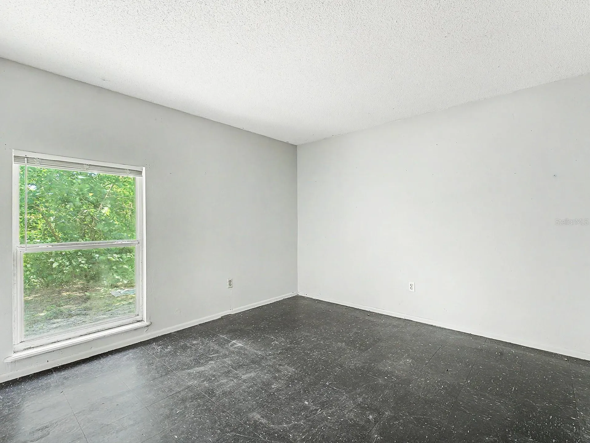 2950 SE 53rd Court Ocala FL 34480