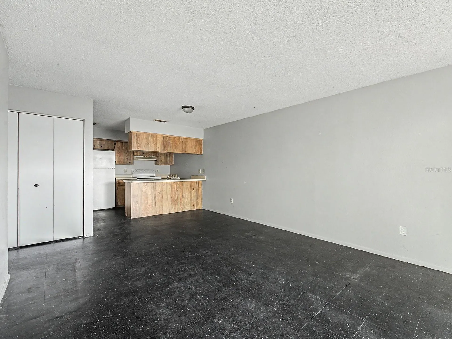 2950 SE 53rd Court Ocala FL 34480