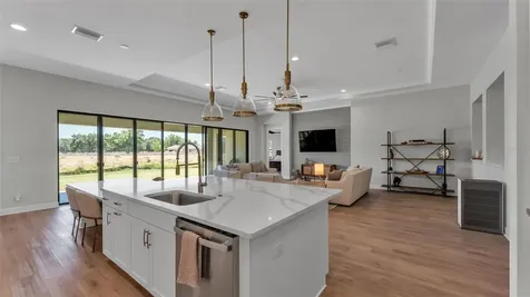 13112 Wellspring Drive Lithia FL 33547