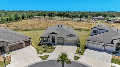 13112 Wellspring Drive Lithia FL 33547